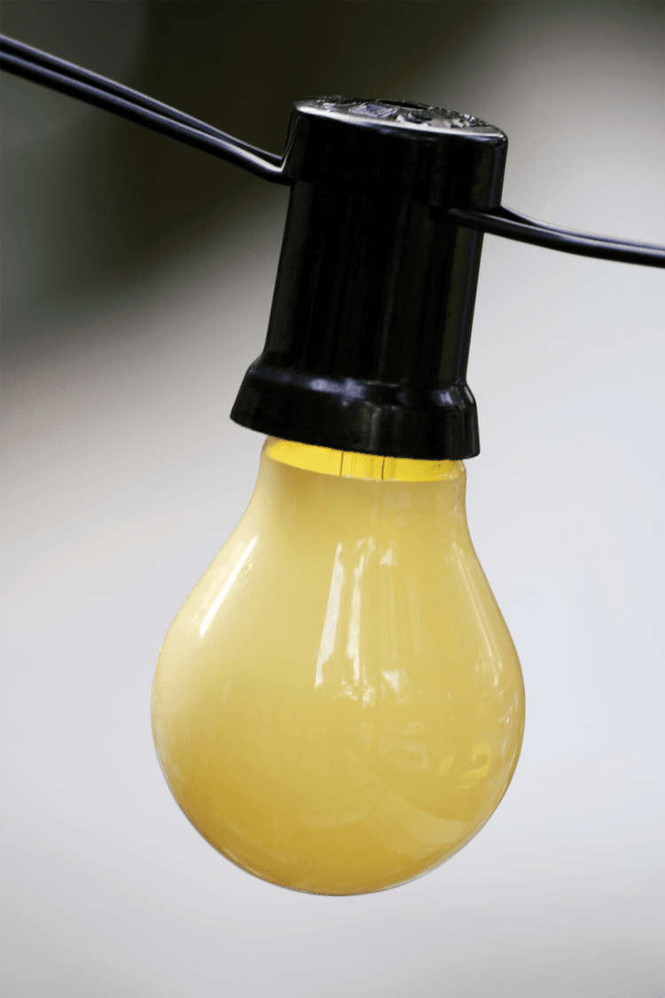 Do LED Lights Attract Bugs? — 1000Bulbs Blog