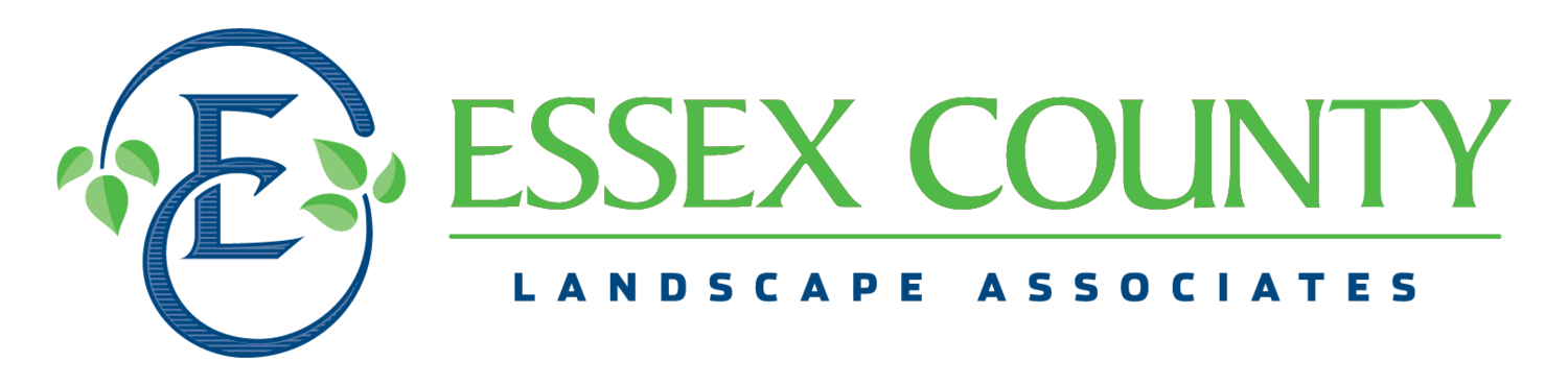 Essex County Landscape 