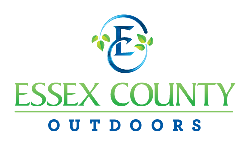 Essex County Landscape 