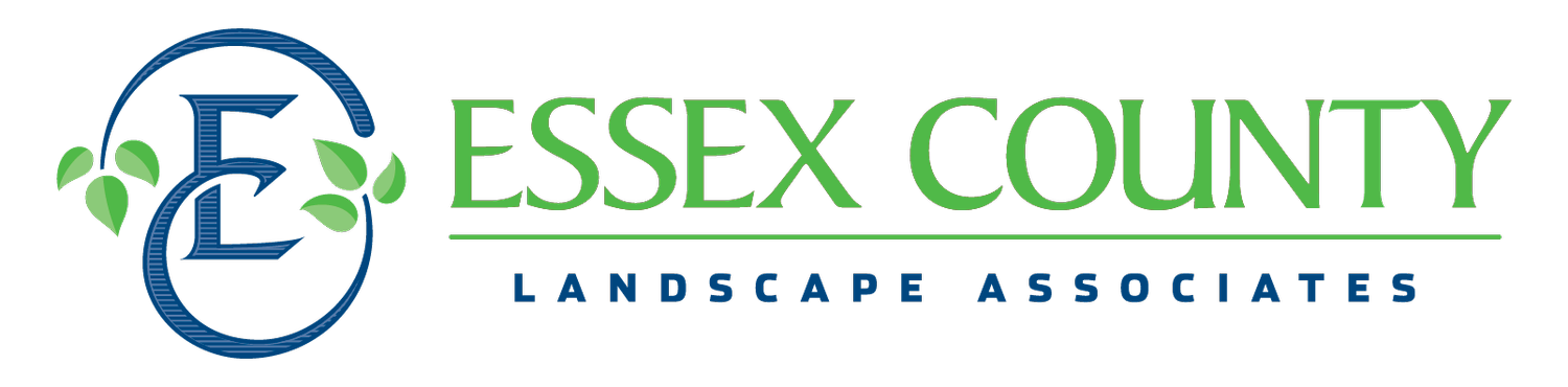 Essex County Landscape 