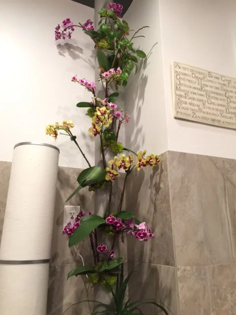 Aergrow system at Felix Design Studios