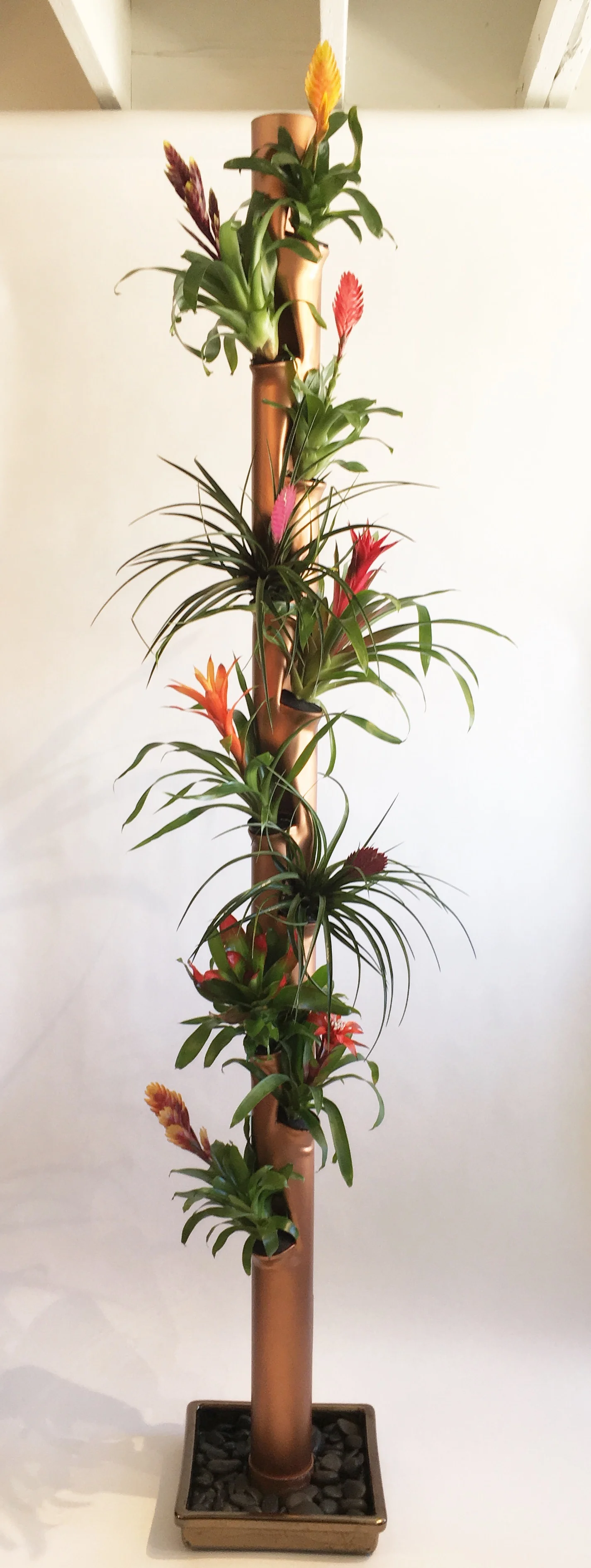aergrow_system_copper_post_tropical_plants.jpg