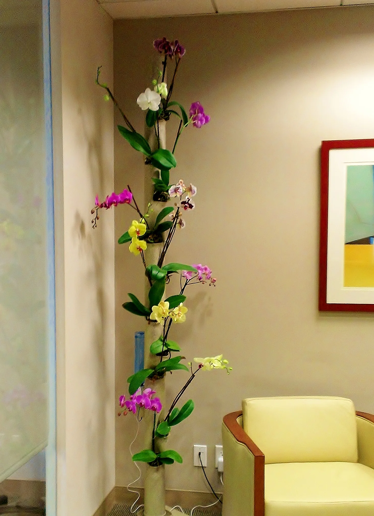 Orchids in Law Offices.jpg