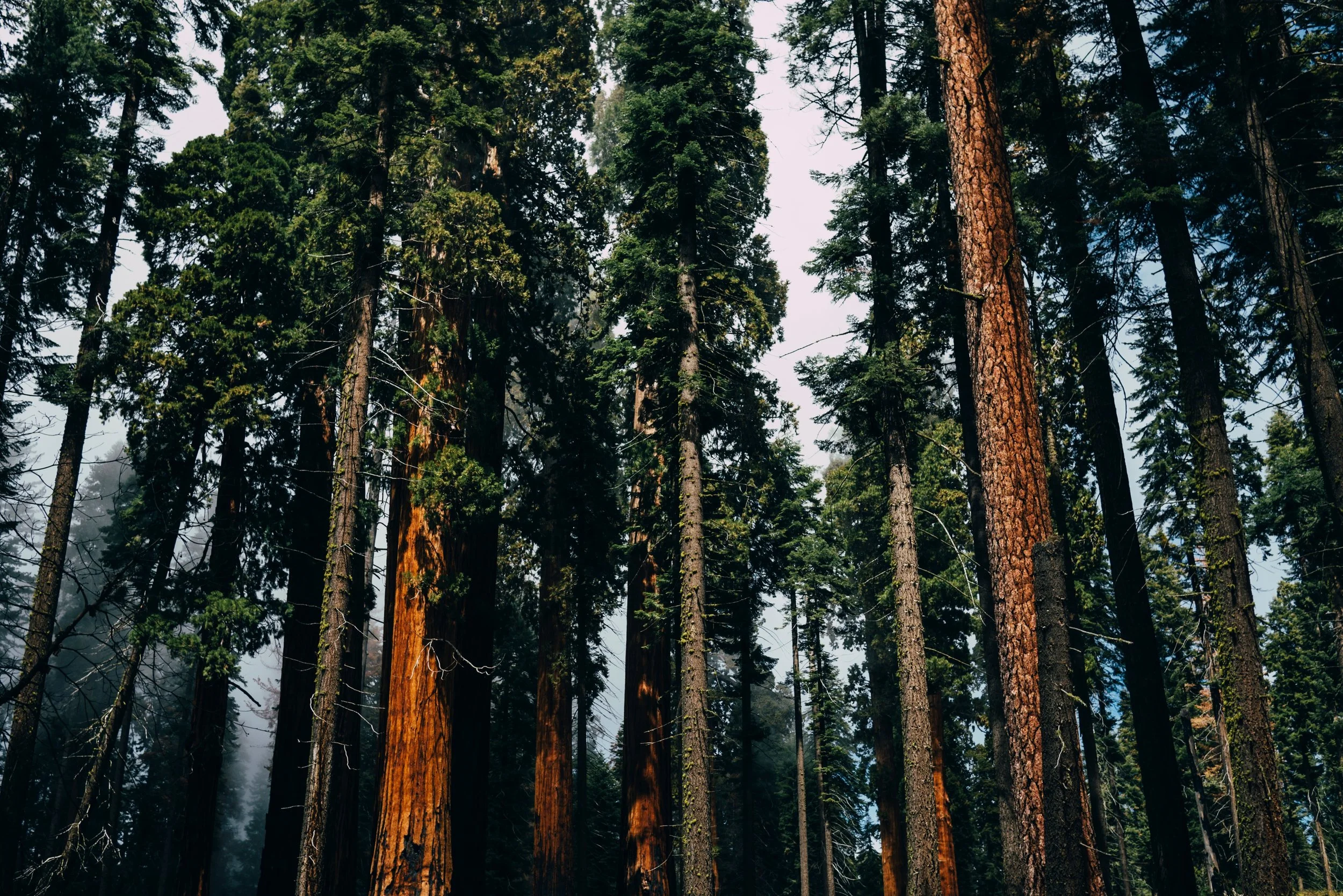 photo-1461397821064-32d6b3c91b9f.jpeg