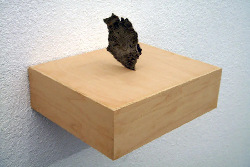 My Piece of the Institution (left view)