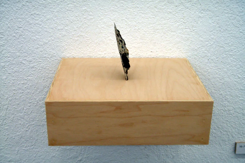 My Piece of the Institution (front view)