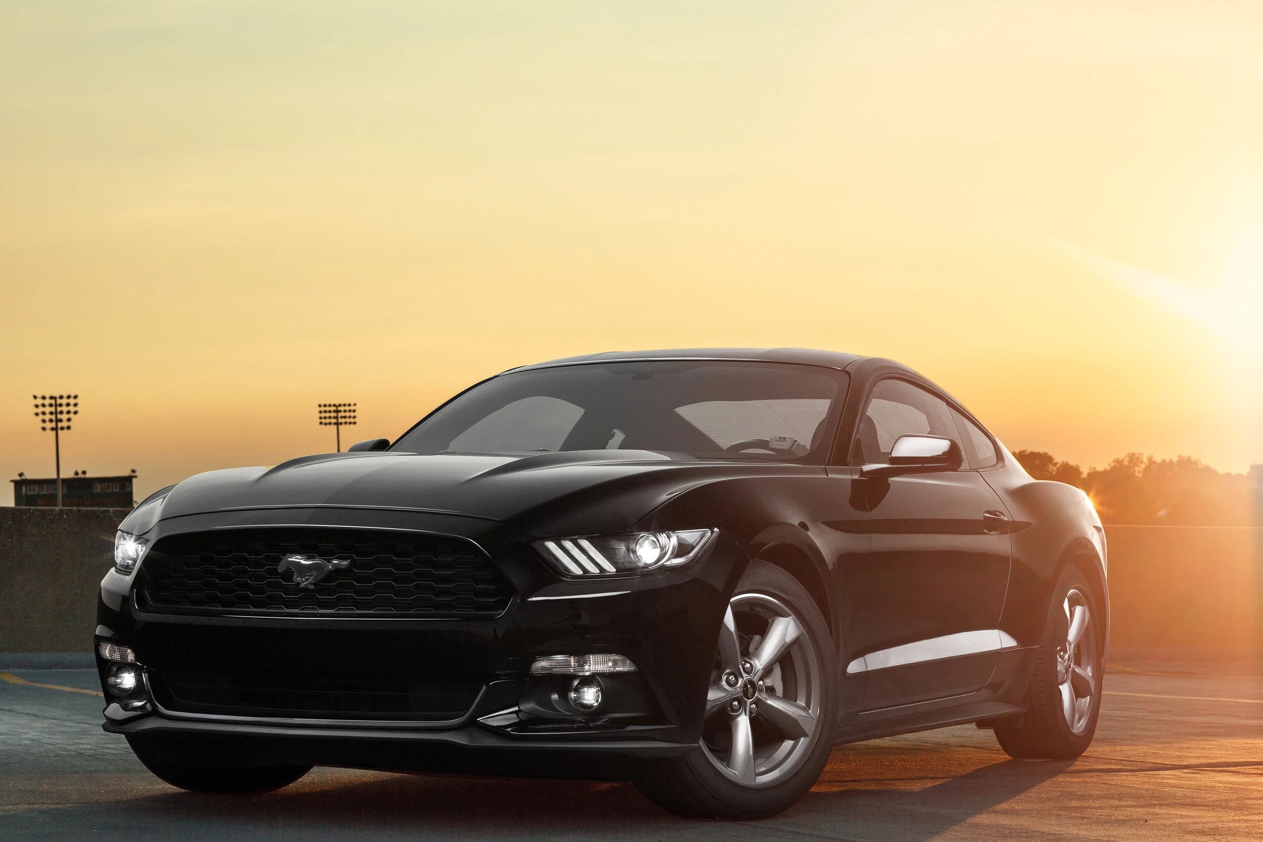 REMY_ROMAN_AUTOMOTIVE (11).jpg