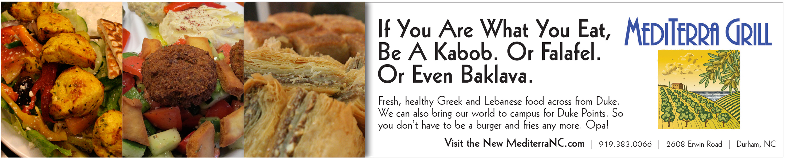 MediTerra_Kabob.jpg