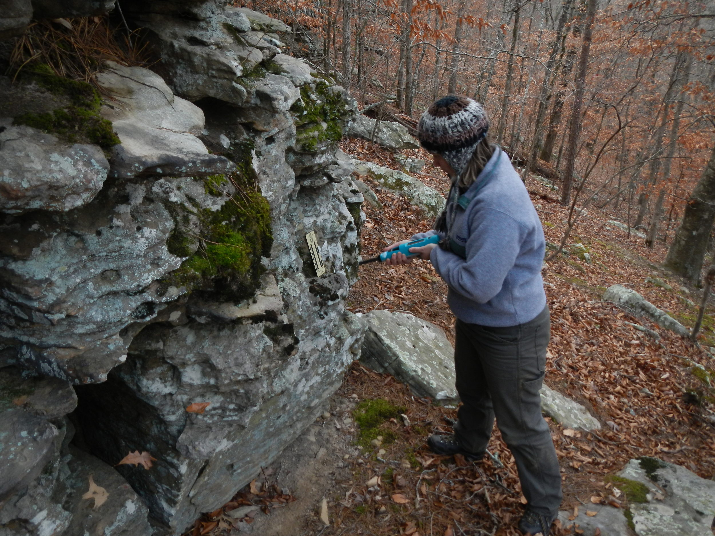 Stephanie Shepherd getting measurements of compressional strength on Boone Formation outcrop with a Schmidt Hammer (it doesn't look like a hammer at all!)