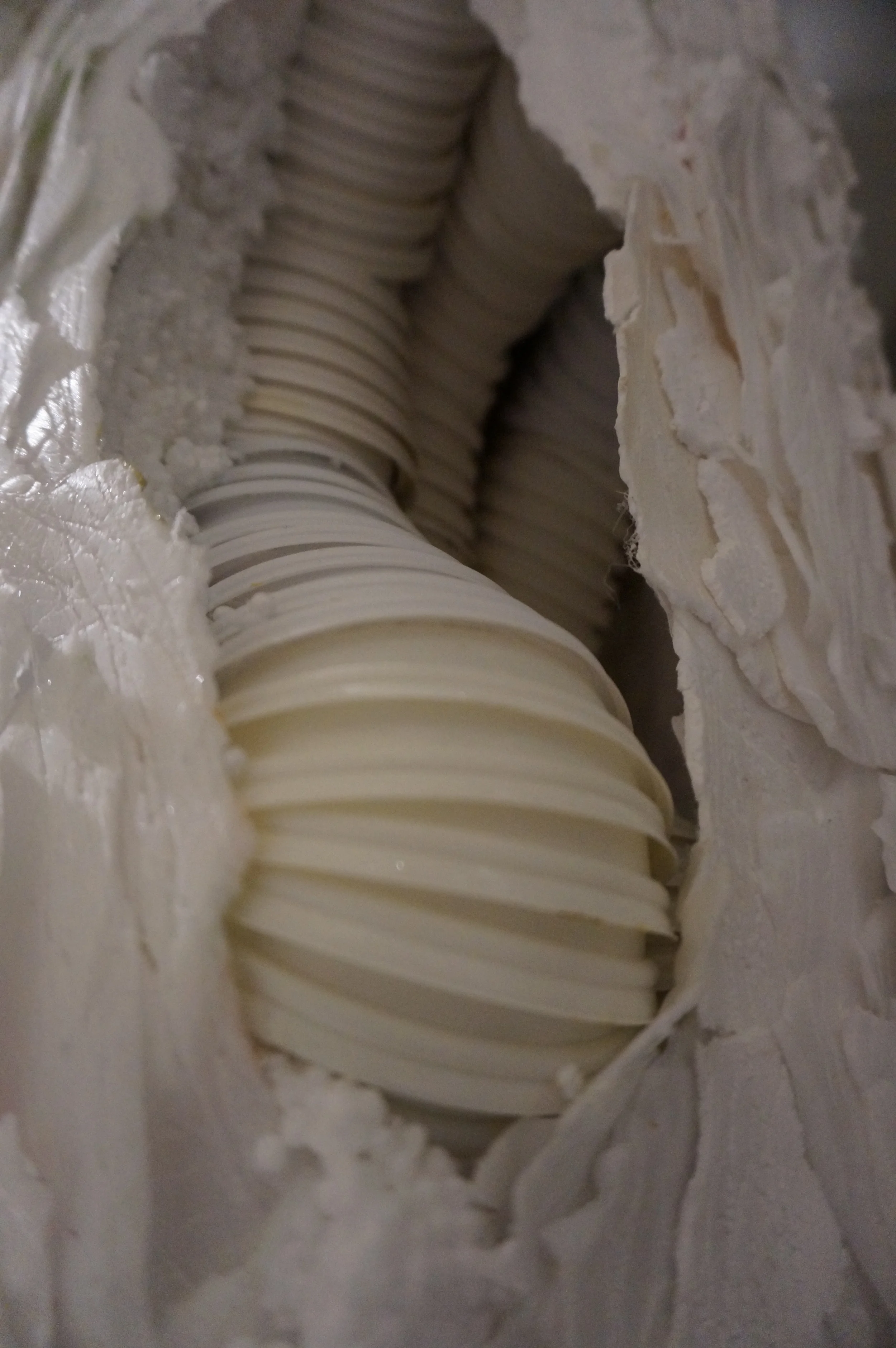 Detail: Coffee cup lids