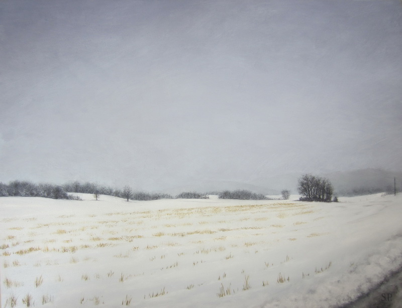 February Corn Field