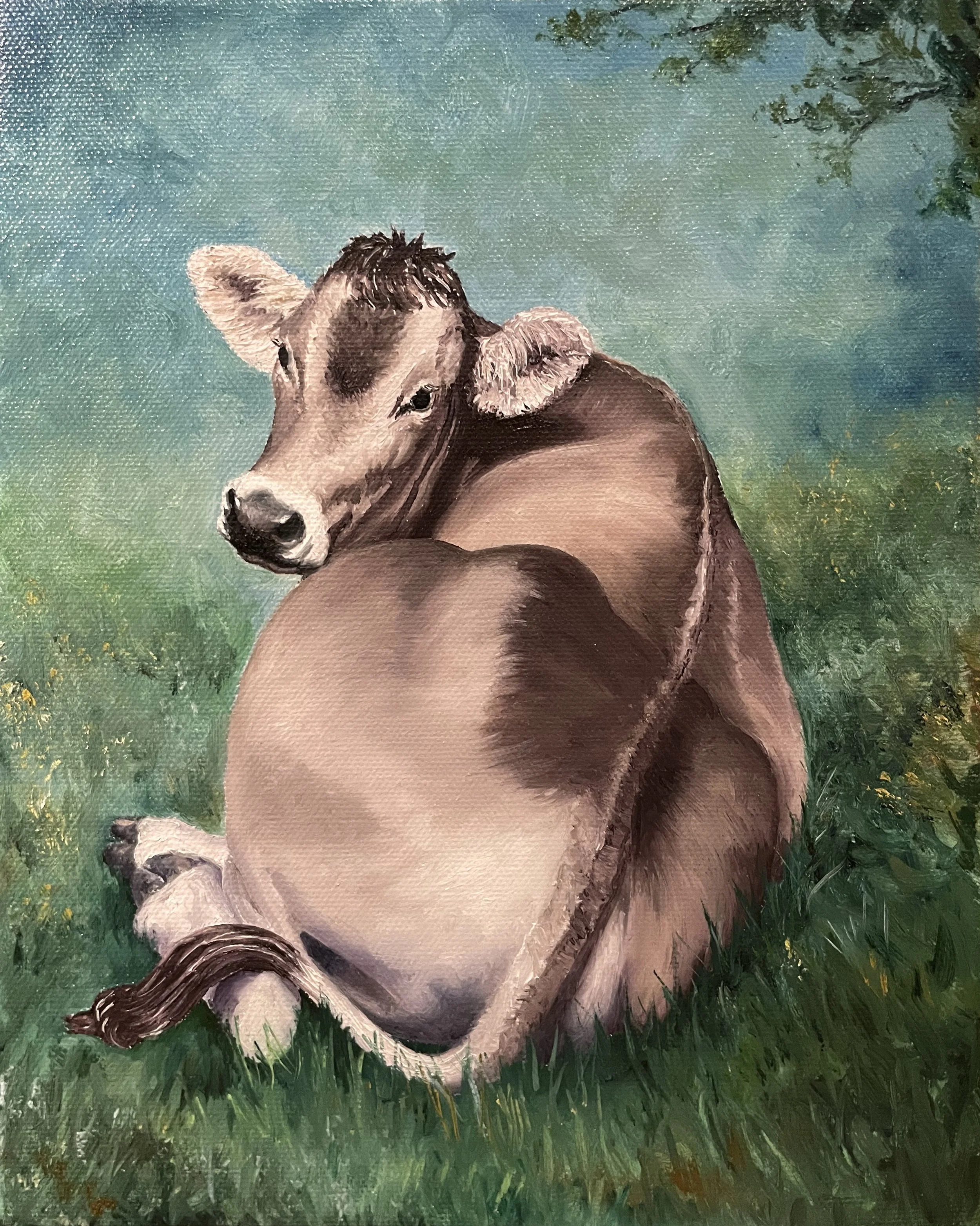 Brown Swiss