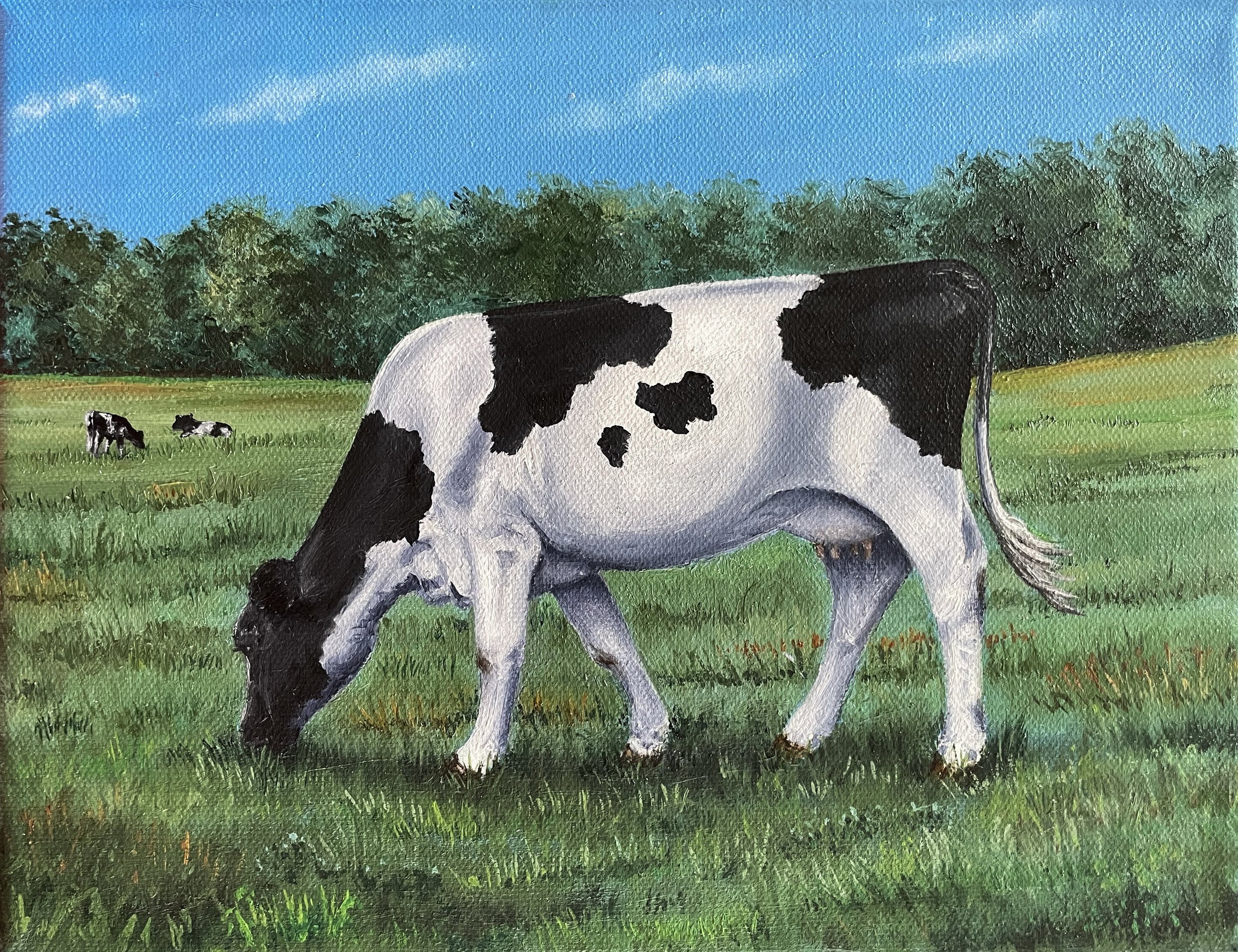 Holstein Grazing
