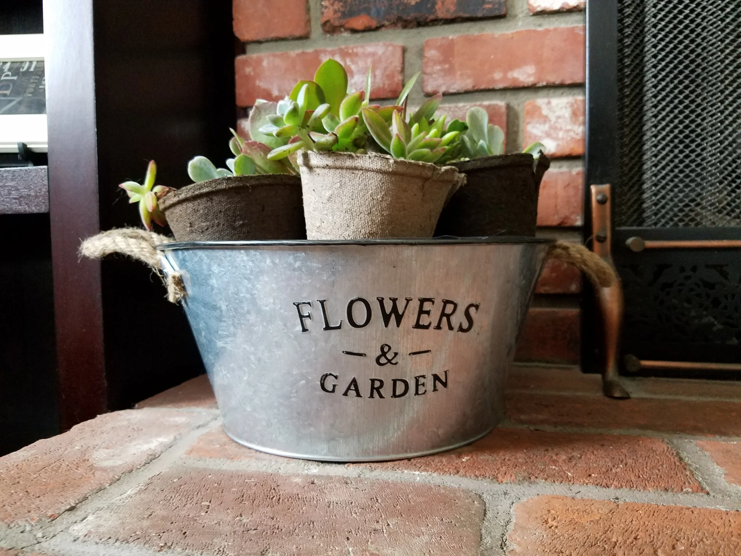20160411_131758.jpg