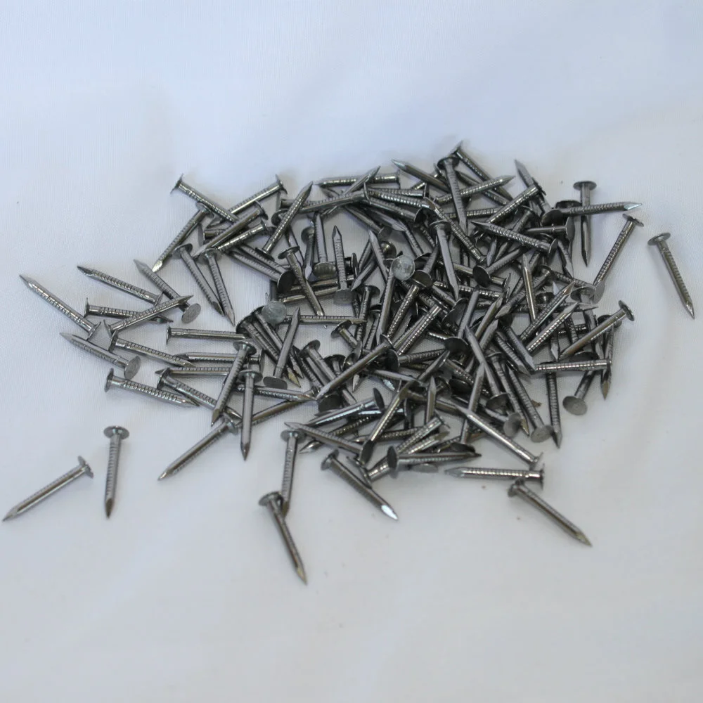 handful_Broom_Nails_all_sizes.jpg