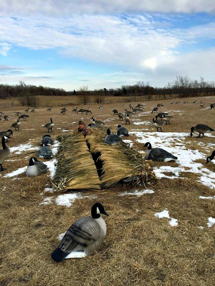 duckblind1.jpg