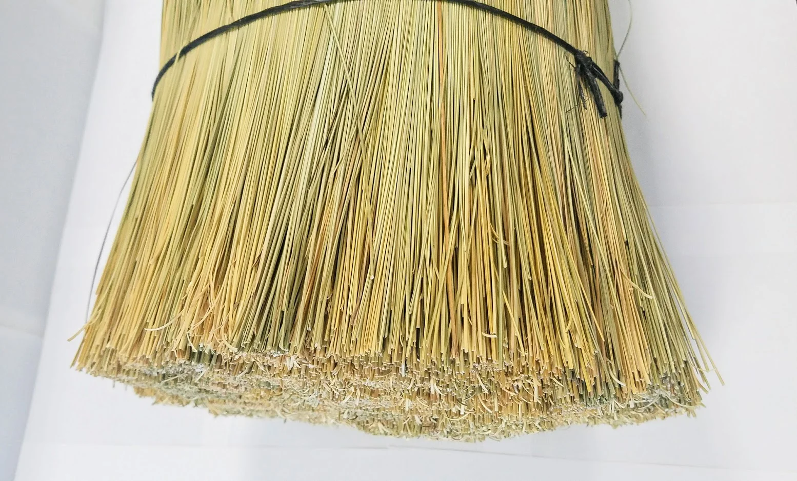 african_broom_grass_side.jpg