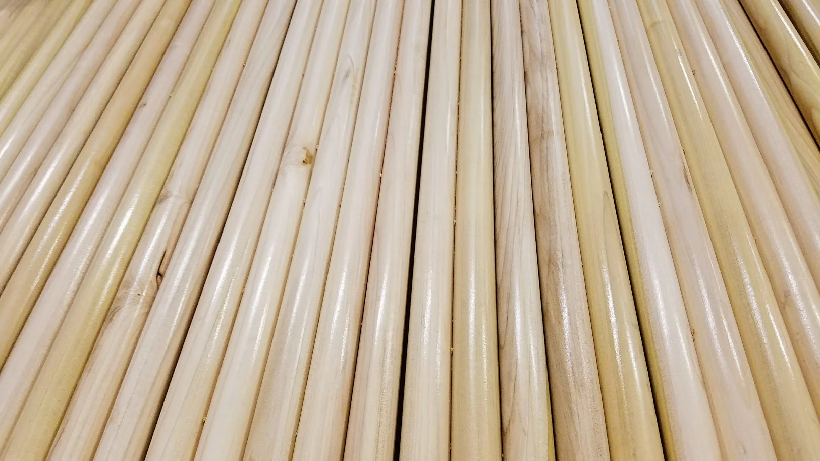 Poplar_15.16x42.clearlacquer.jpg