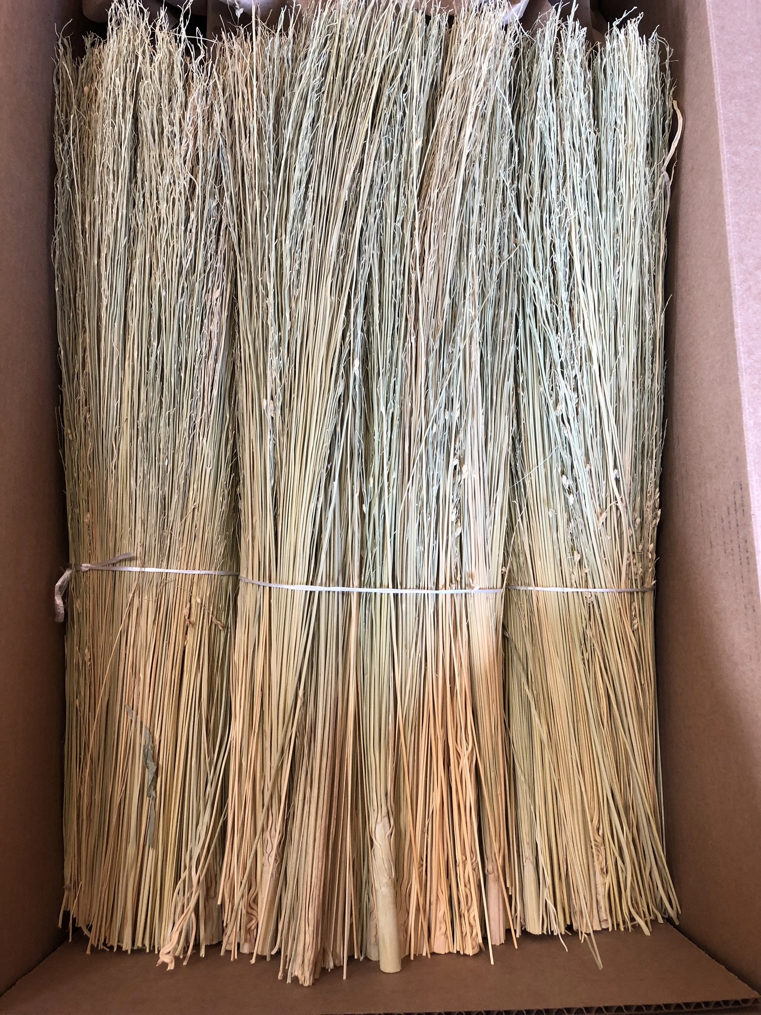 C3257521-0CEE-414F-A224-9292277813AF