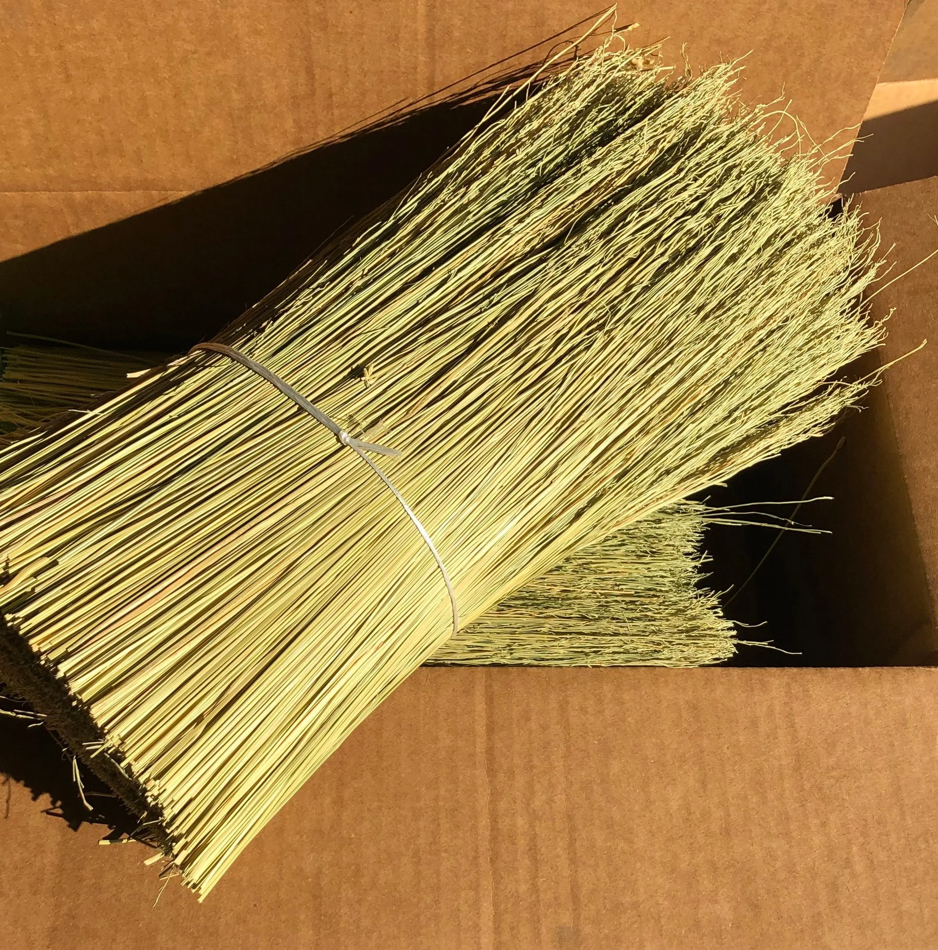 0D8E9084-147A-4667-A302-EDBF4557BD20