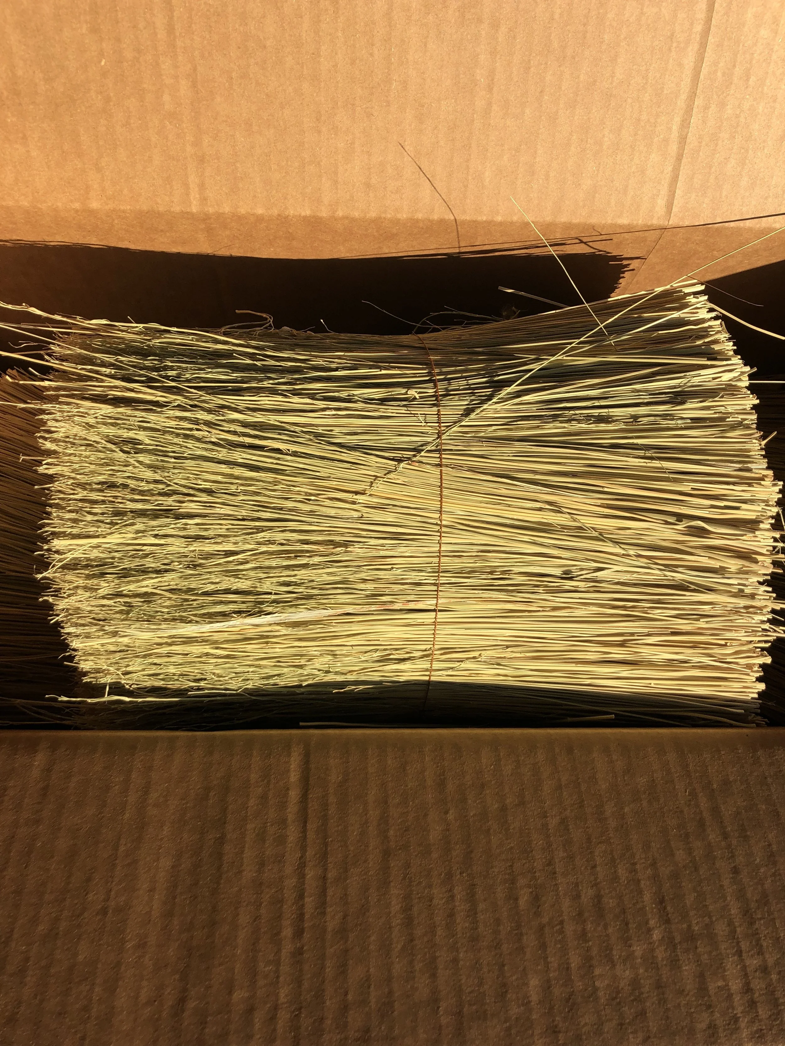 7E514A15-2D52-44A3-97B3-8DCEC2E9AB58