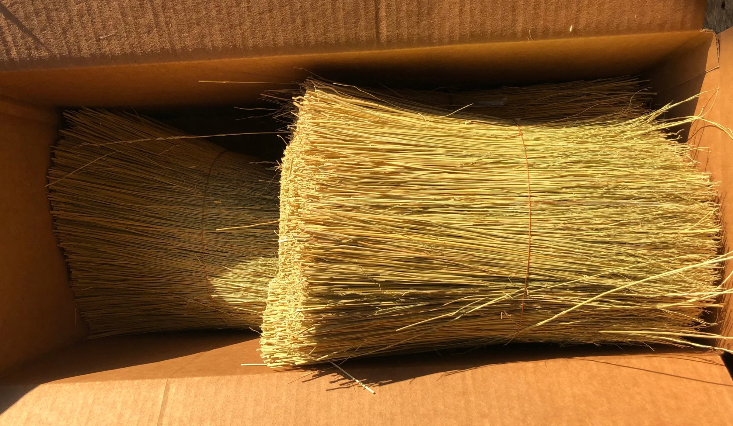 BAE19099-A0E4-478A-8869-098B3A0E88D0