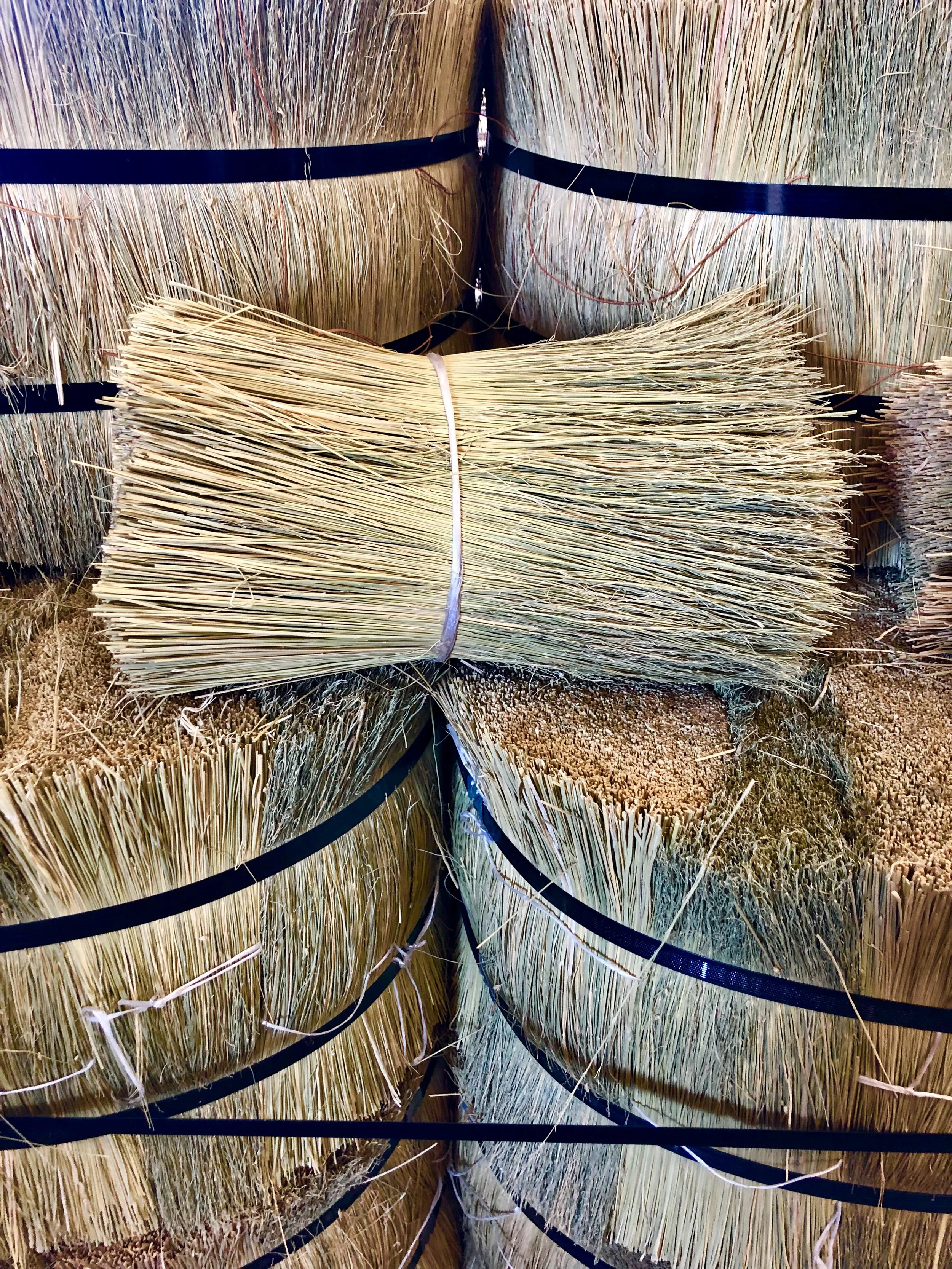 22BA9401-8FB2-4B30-AAFB-7A3FD29D61F9