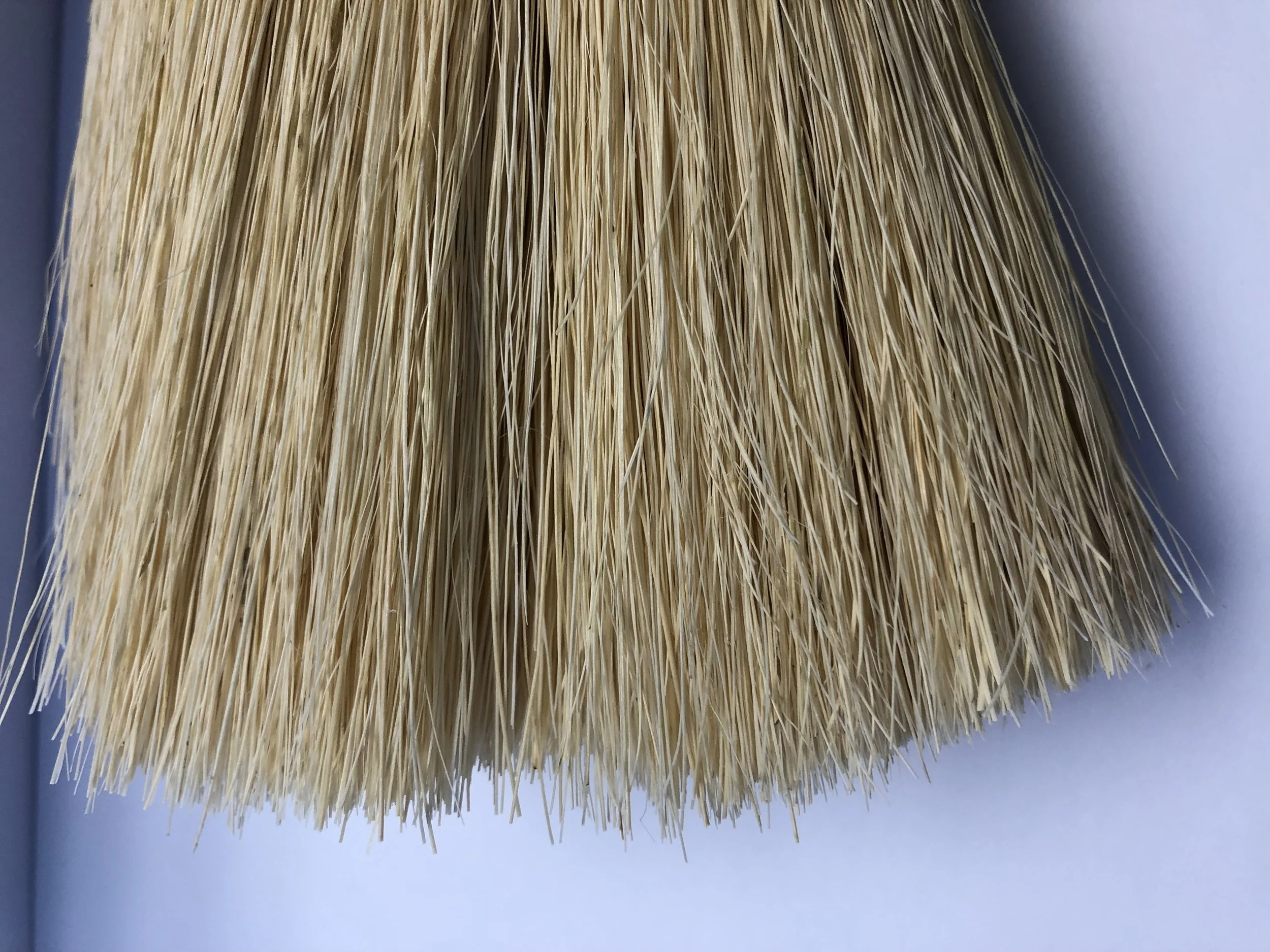 42EB7C88-AF0F-4F0D-8FA3-95732659CEF6