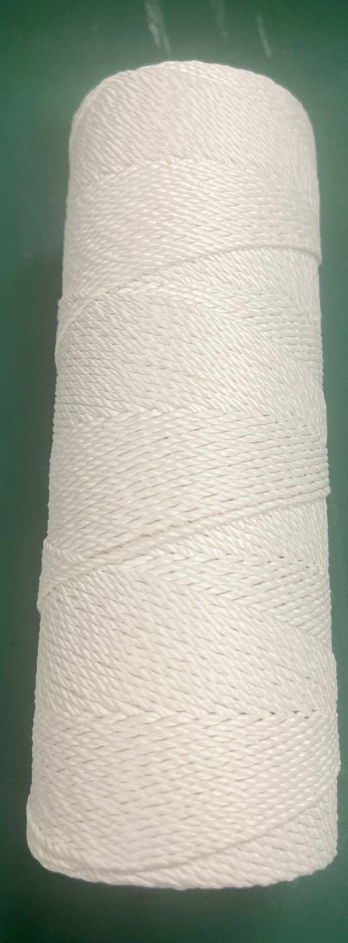 whinte nylone twine.jpg