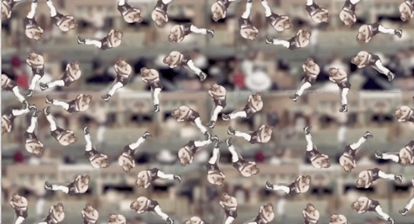 Apr-18-2018 10-27-06.gif