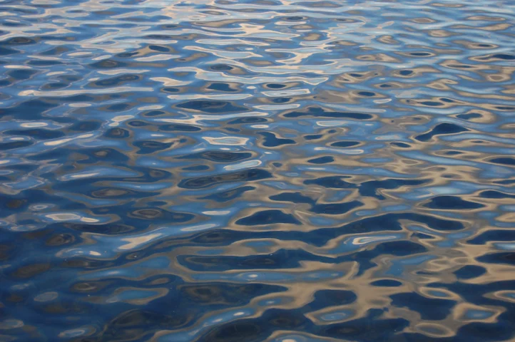s48.jpg