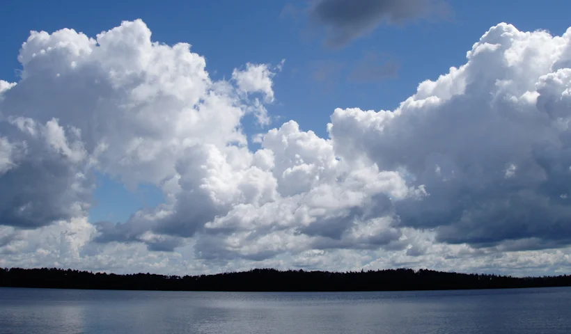 s71.jpg