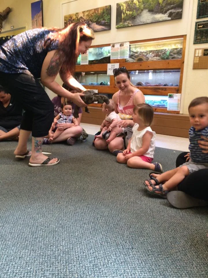 Nature Center turtle.jpg