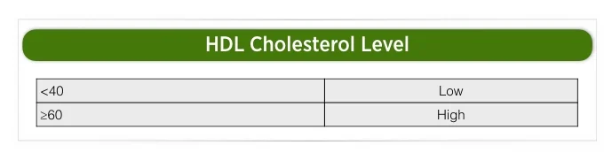 Cholesterol Charts .003.jpeg