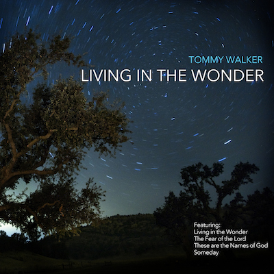 Living+in+the+Wonder+cover+400x400.jpeg