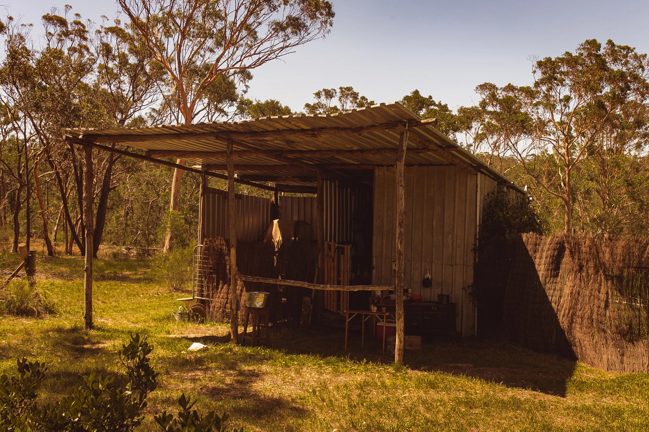 Seeds of Gold Film Stills_February2023_Photo Credit-Teniola Komolafe-72.jpg