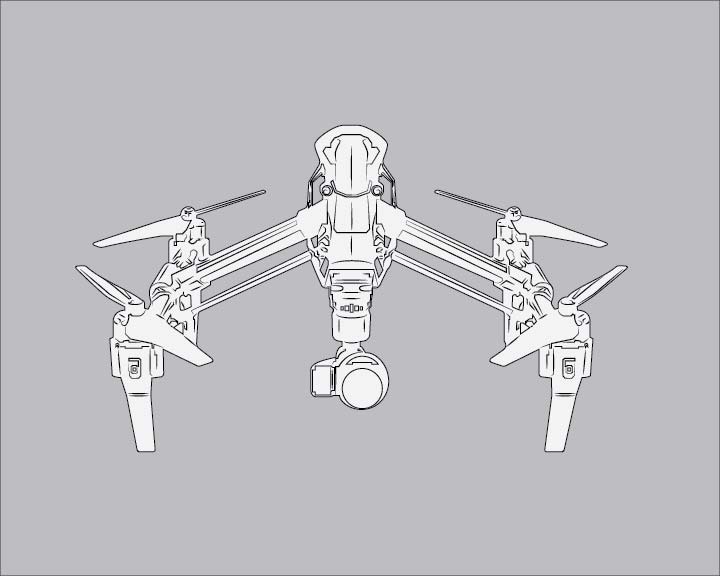 line-drawing-SPC-bg-01.jpg