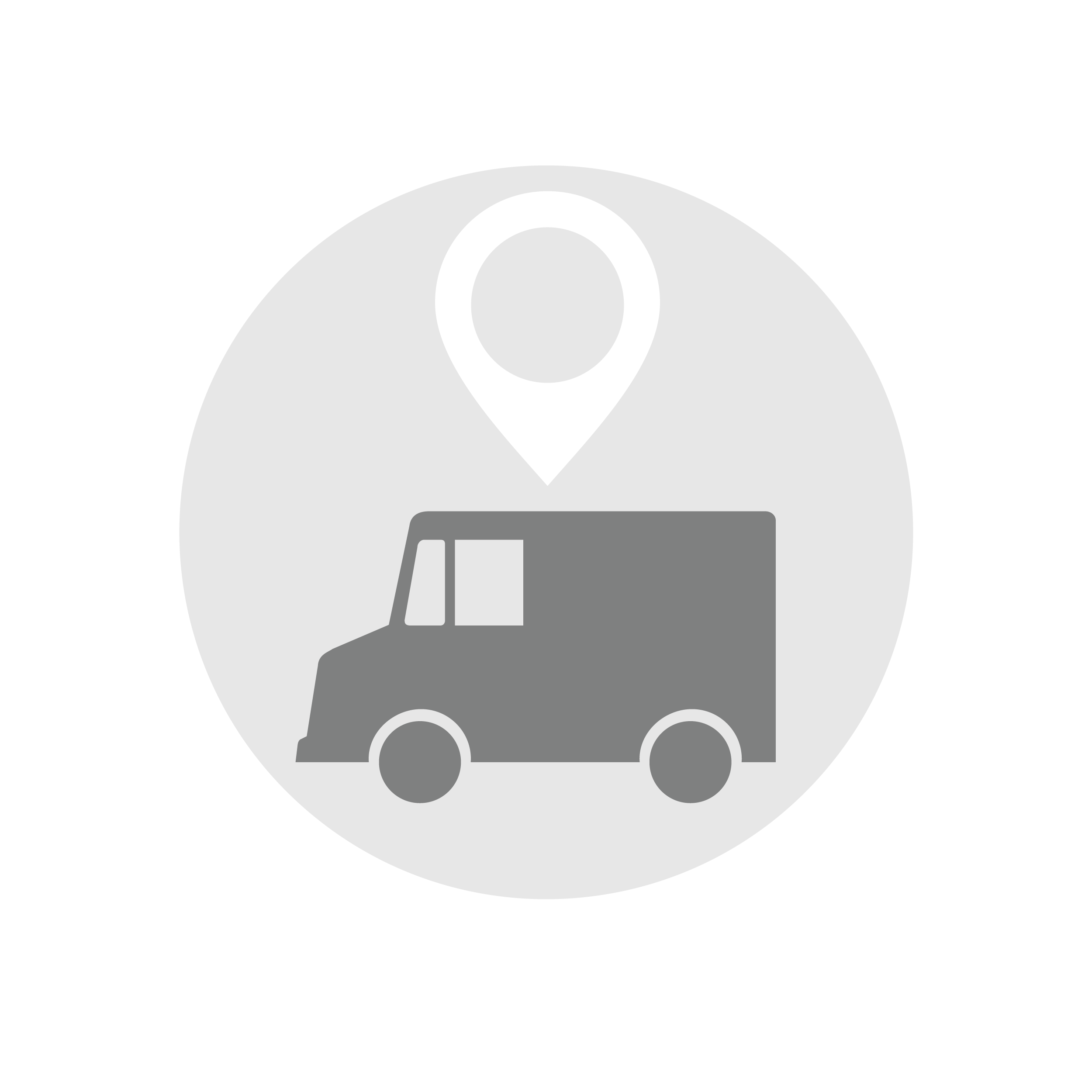 AVL_flat_icon-01.png