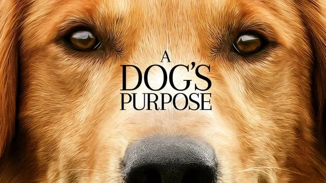 A Dog's Purpose TV30 Every Life