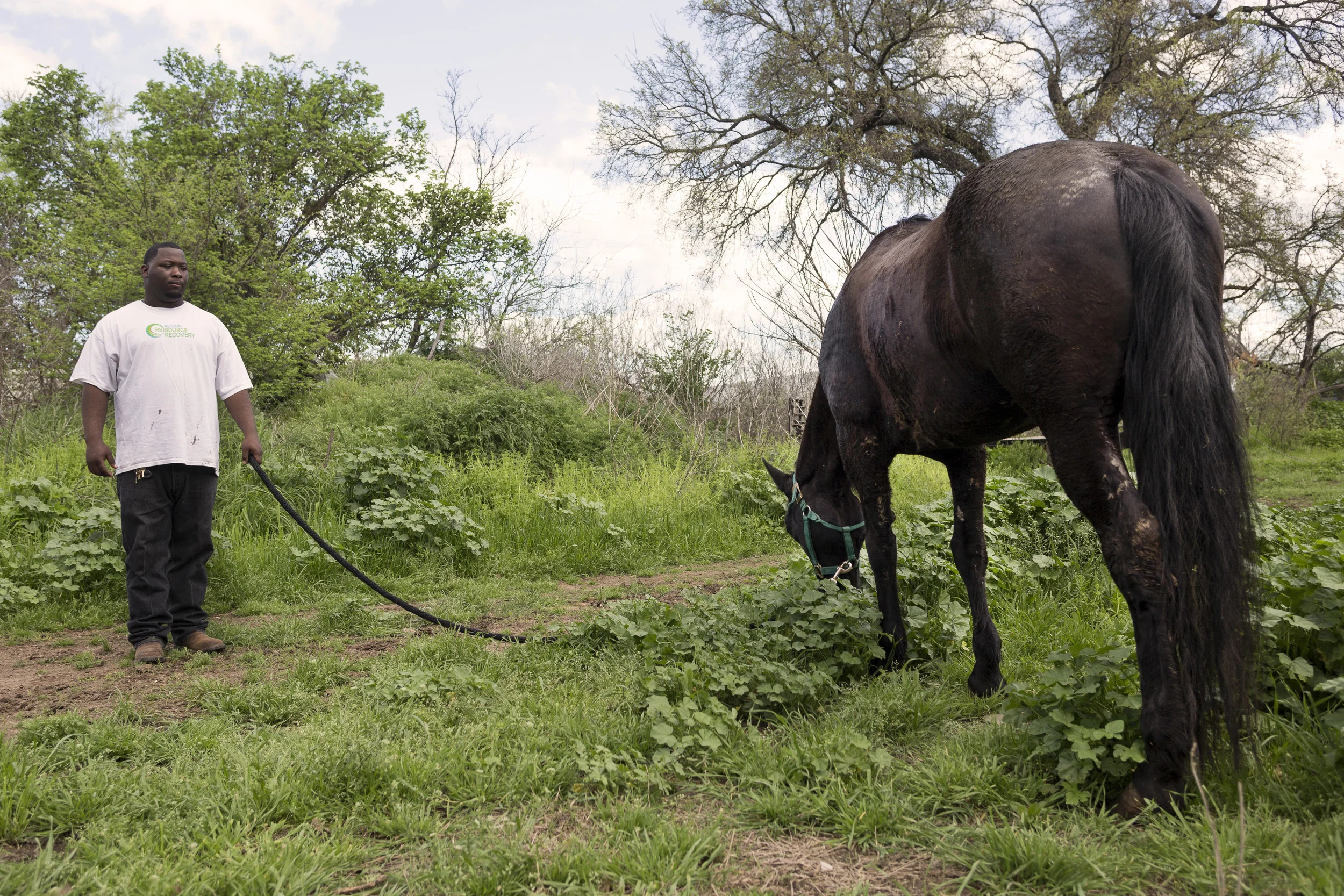 AUSTIN, TEXAS- Apr. 5th, 2015. CJ Brooks holds the reins to his horse at the All Mixed Up stables in East Austin. Miguel Gutierrez Jr. / Austin American-Statesman.