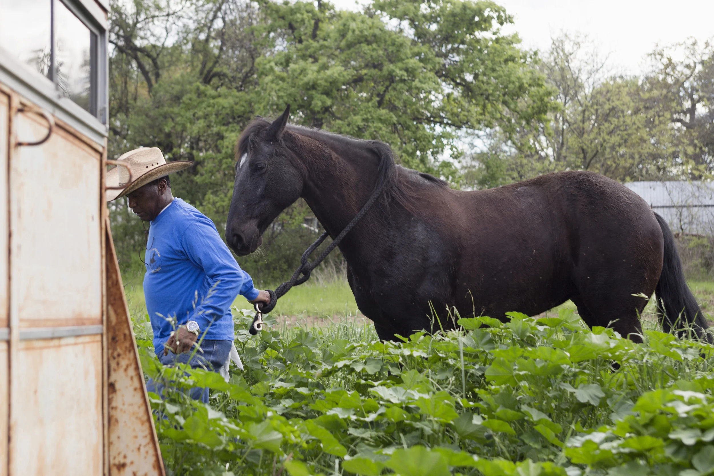 AUSTIN, TEXAS- Mar. 22nd, 2015. Carl Brooks walks his horse across a field at the All Mixed Up stables in East Austin. Brooks is an AMU member with the longest tenure at the stables and a founder. Miguel Gutierrez Jr. / Austin American-Statesman.