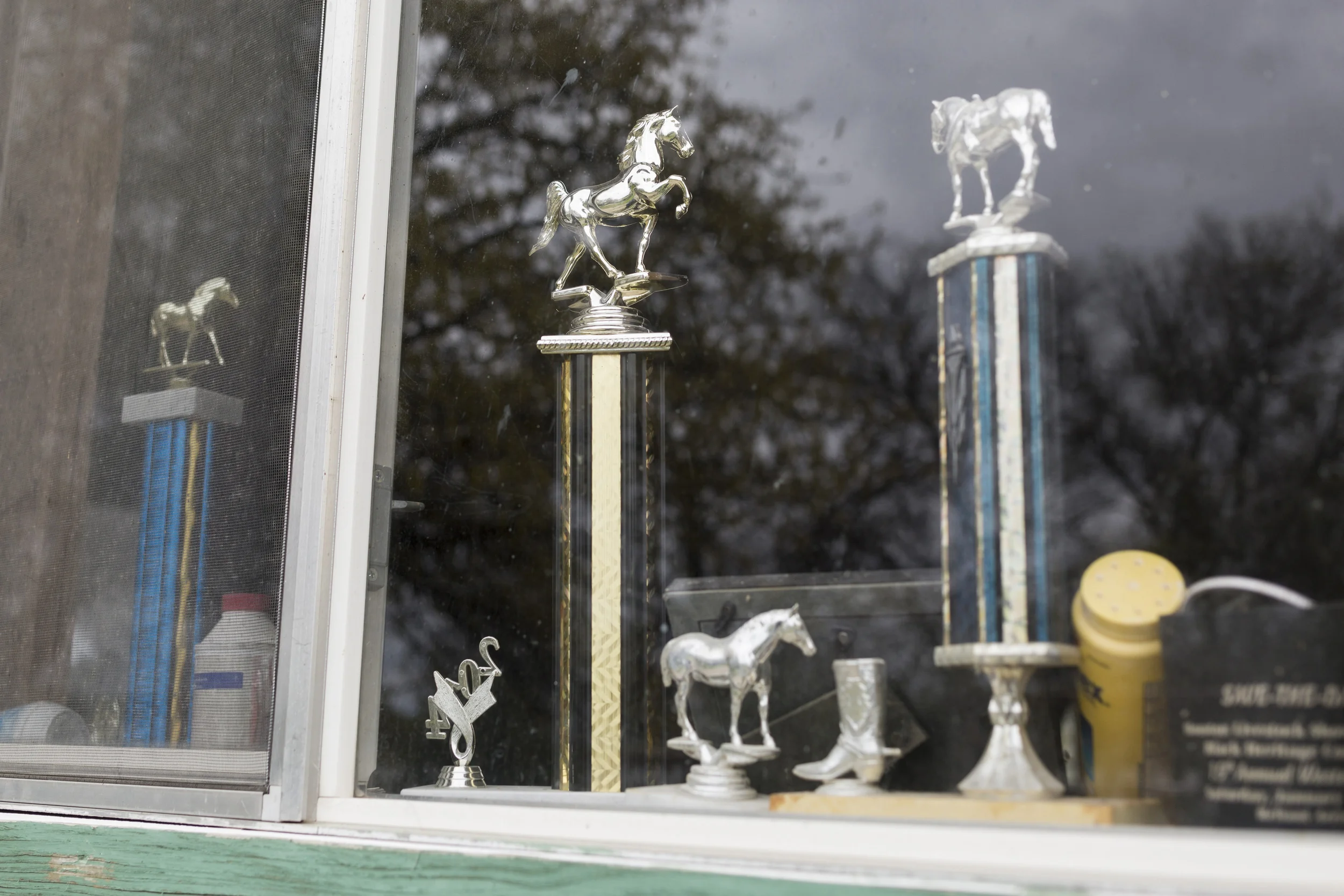 AUSTIN, TEXAS- Mar. 15th, 2015. A view of the trophies in Clifton Bolden's home in East Austin. Bolden, also a member of All Mixed Up, has trained horses since his childhood. Miguel Gutierrez Jr. / Austin American-Statesman.