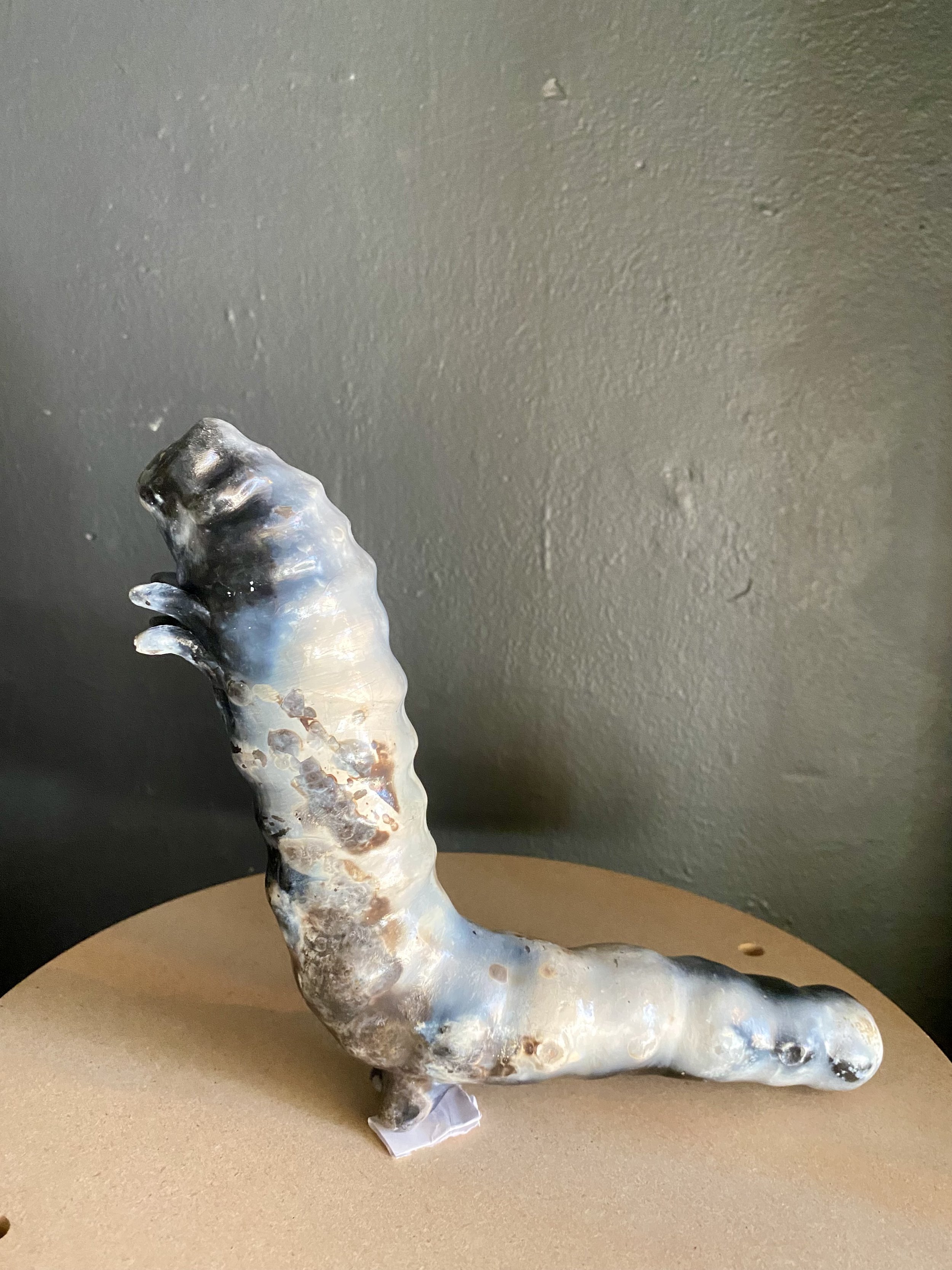 Pit Fired - Silkworm 32