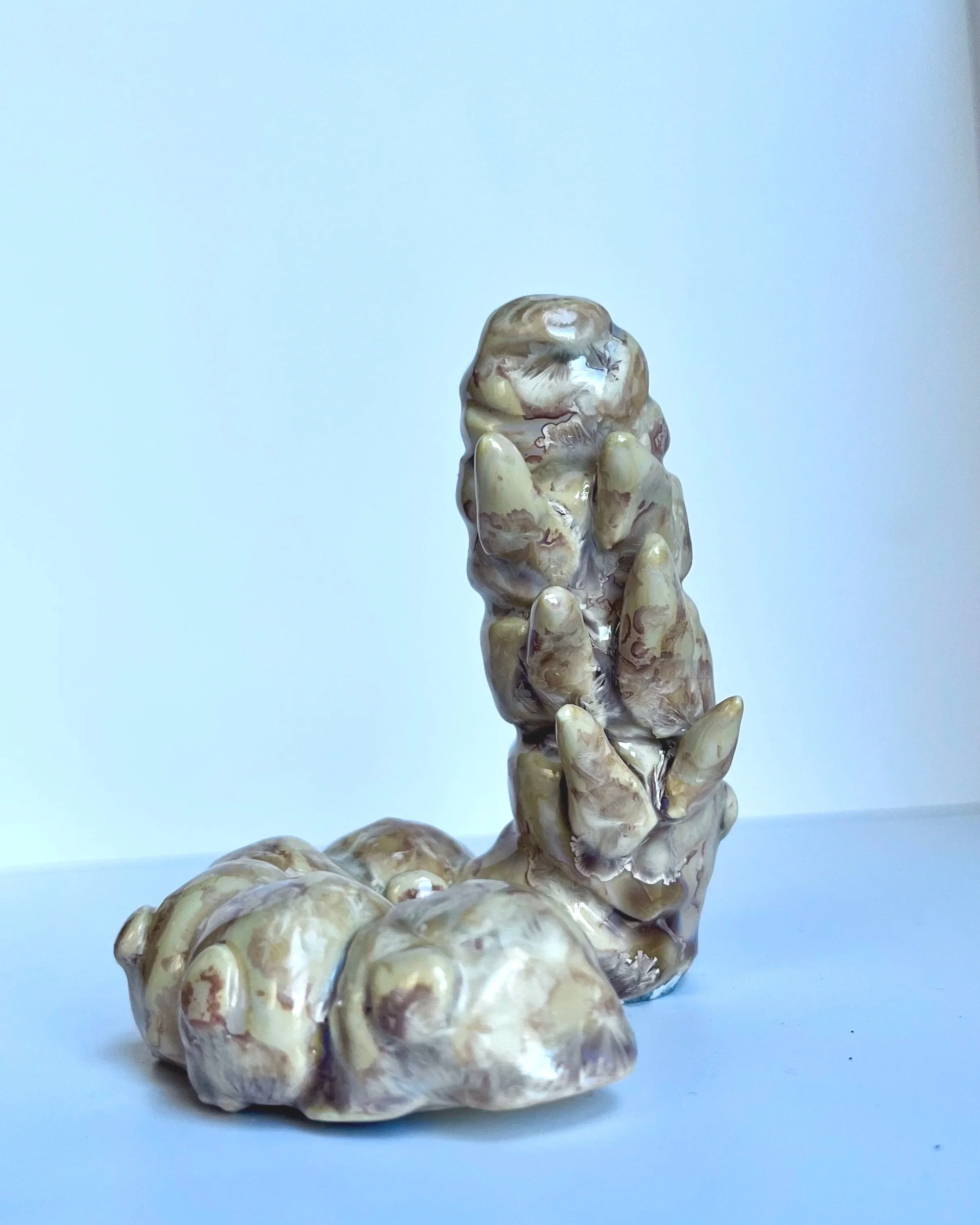 silkworm+33_1.jpg