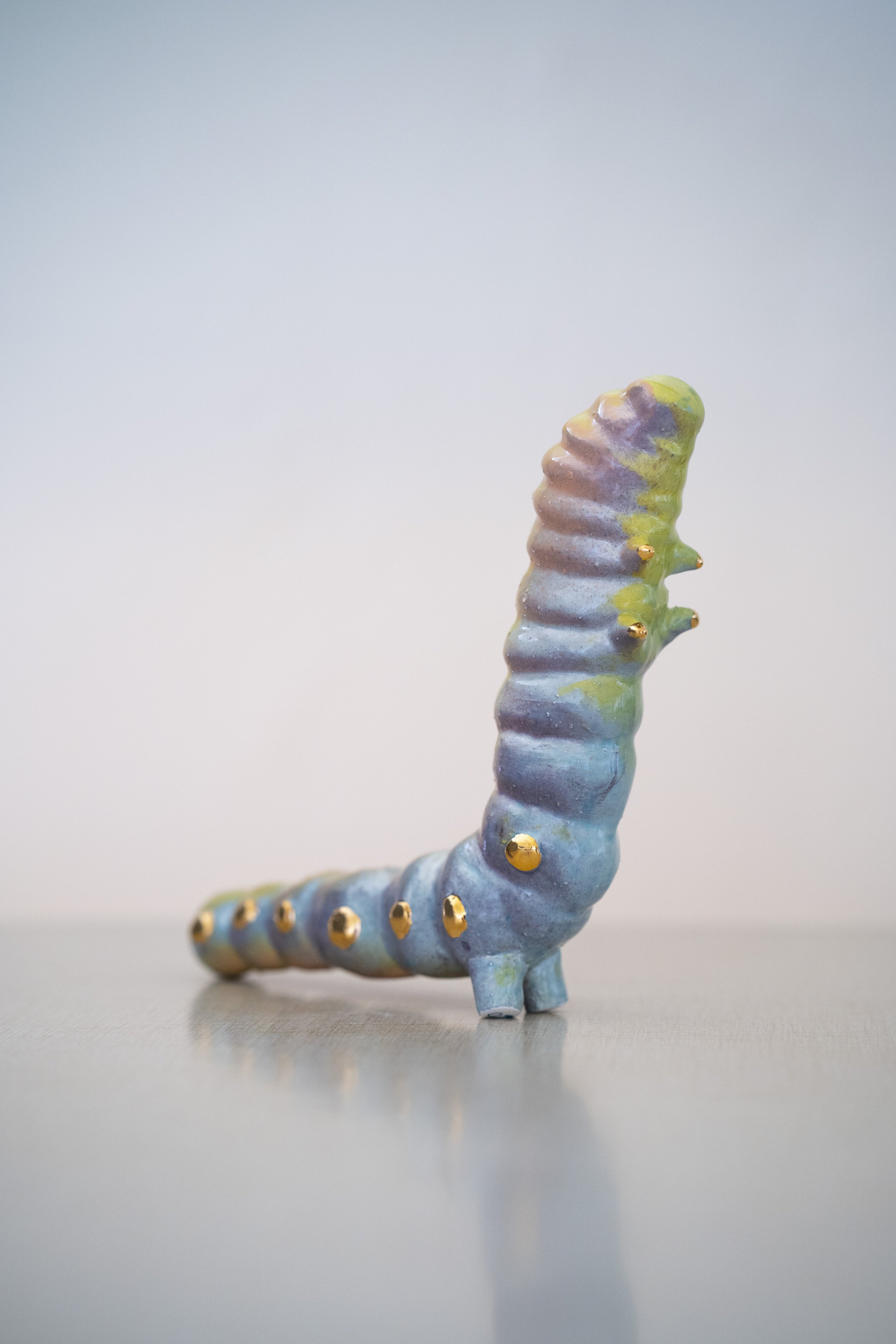 Silkworm 07