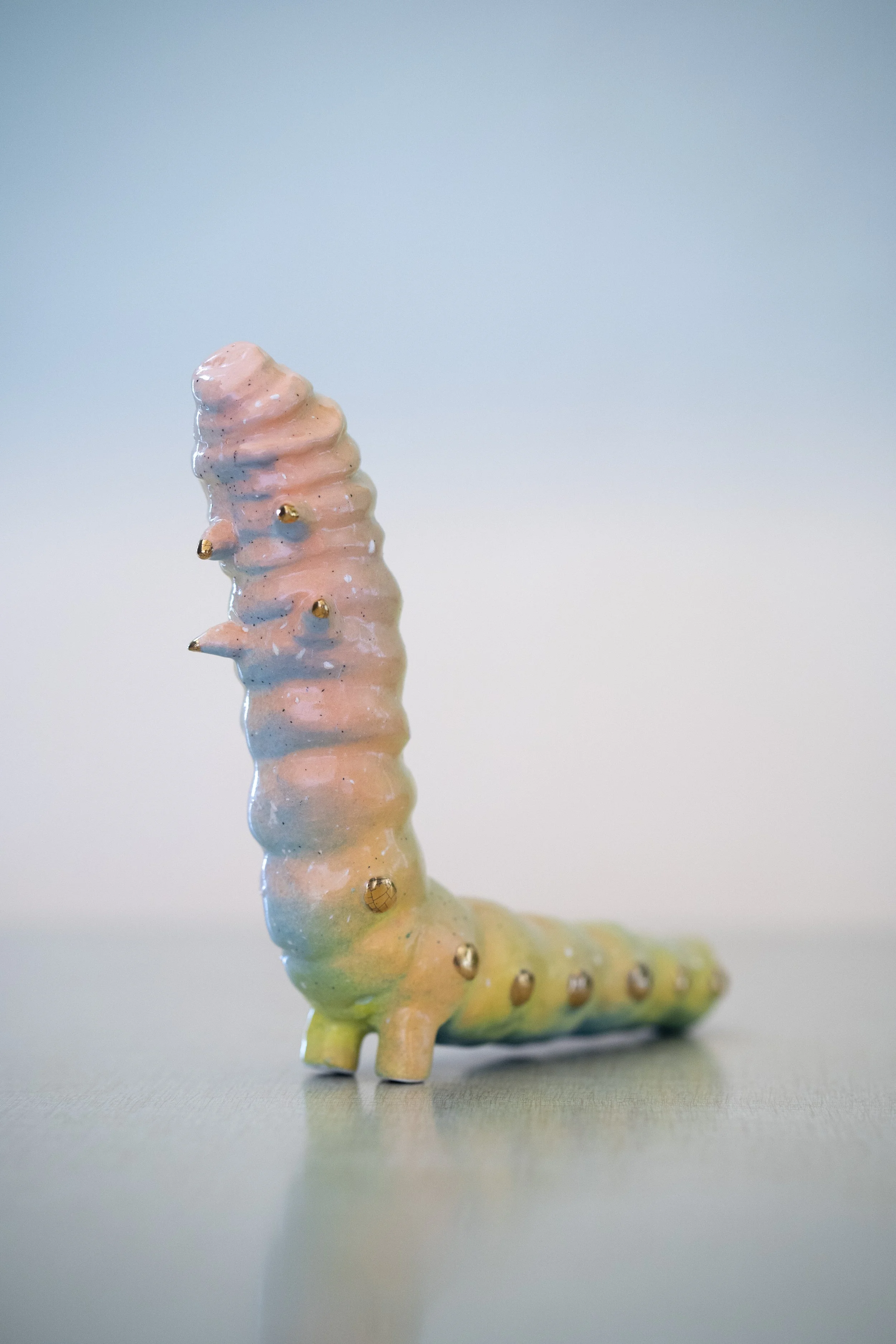 Silkworm 11