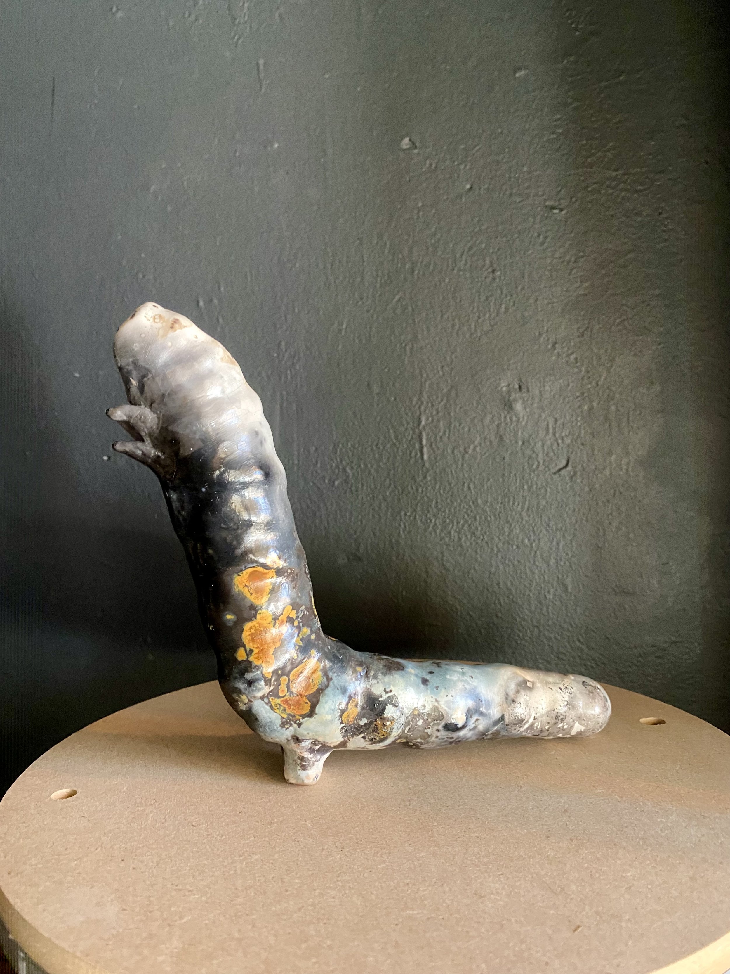 Pit Fired - Silkworm 29