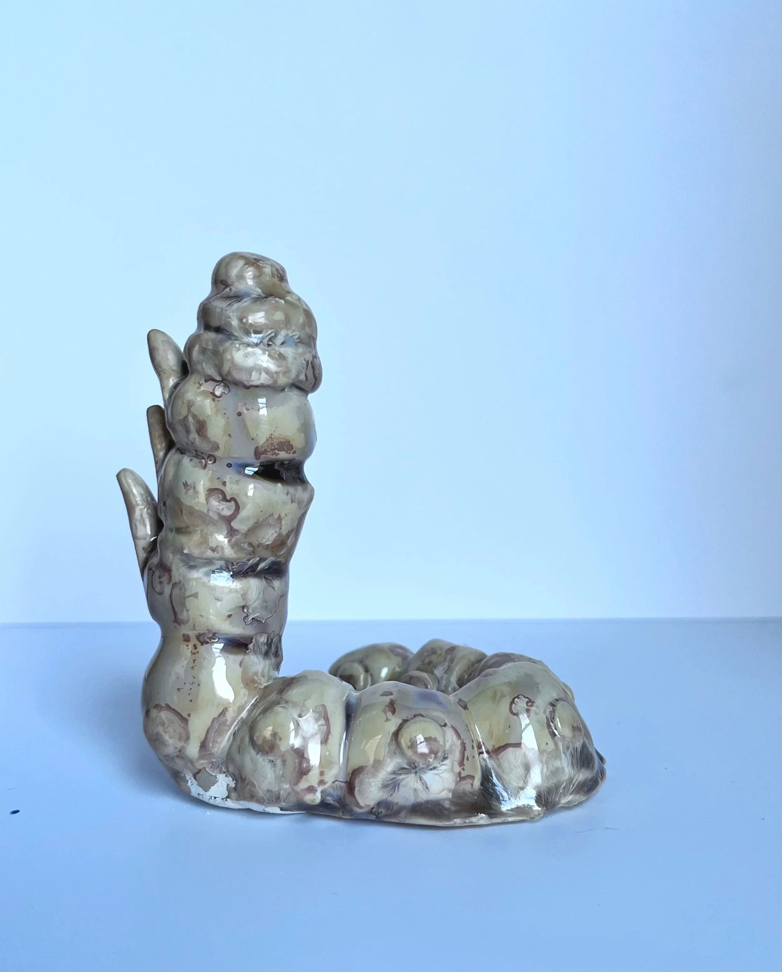 silkworm+40_2.jpg