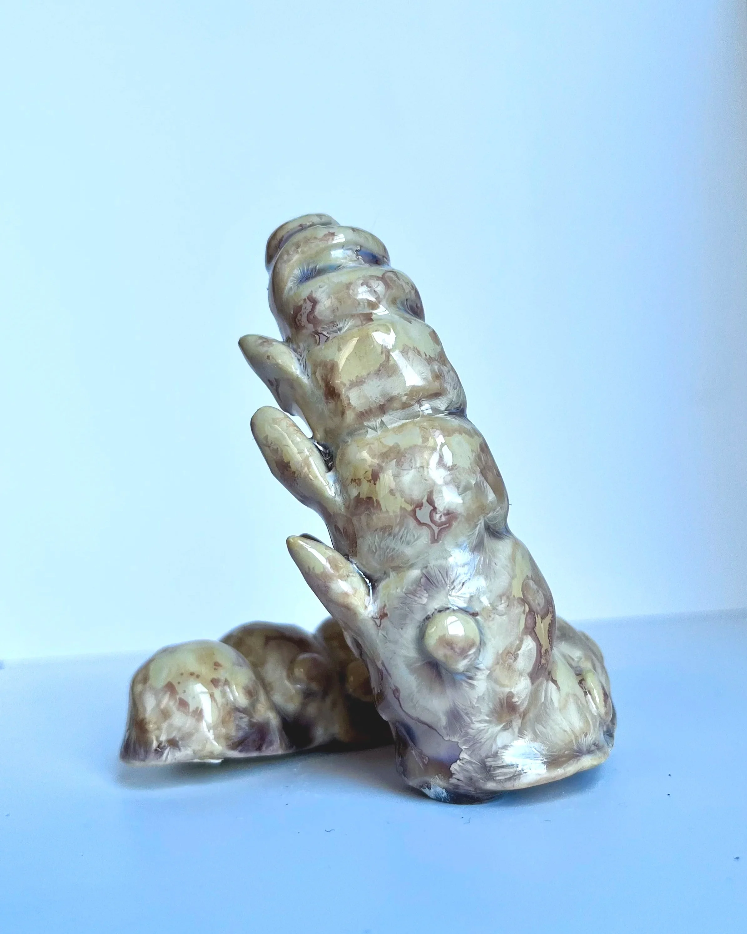 silkworm+33_2.jpg