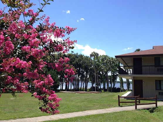 Photo courtesy of ( LEC Retreats )